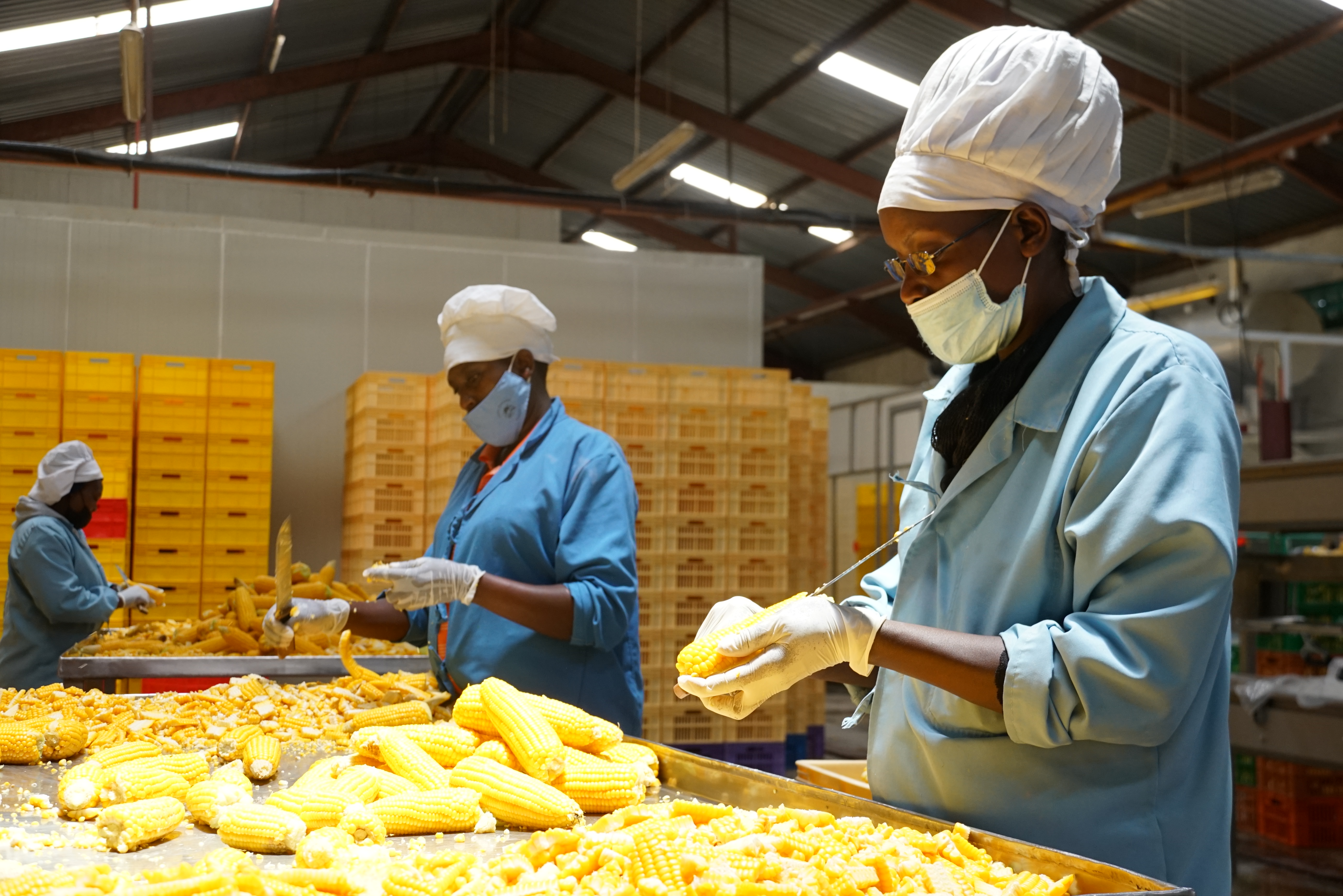 Life at Njoro Canning Factory — our team in action